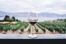 Degustazione vini fra i trulli in Coppia