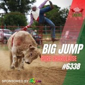 Bull Riding Experience