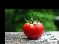 Tour alla scoperta del pomodoro Re Fiascone