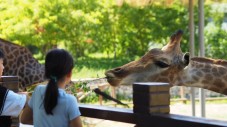Family experience Bioparco Zoom Torino