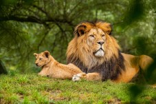 Namibia Experience Dalla Capitale alle Meraviglie del Safari