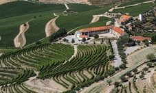 Porto degustazione vini con pranzo