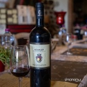 Visita al Vigneto e alla Cantina con Degustazione a Peccioli