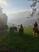 Escursione a cavallo di coppia in Emilia Romagna