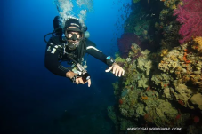 Immersione Subacquea Isole Tremiti Puglia