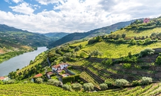 Porto degustazione vini con pranzo