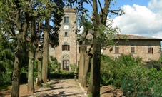 Tour per Famiglie in Toscana: Degustazione Vini e Cena Tipica