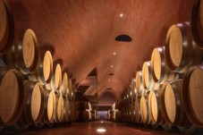 Visita Cantina Degustazione Vini e Cena tipica Toscana 