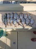 Pesca a Bolentino in Salento