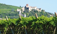 Valpolicella e Soave: wine tour da Verona con degustazione