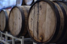 Degustazione aceti e visita acetaia a Modena