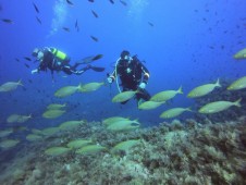 Corso Immersioni Subacquee Sardegna