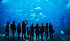 Tour privato di Dubai con biglietti per il Burj Khalifa
