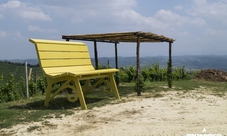 Visita privata e degustazione di vini esclusivi alla cantina Marenco di Strevi, Monferrato per 4