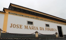 Arrábida & Sesimbra: Tour and Wine Tasting