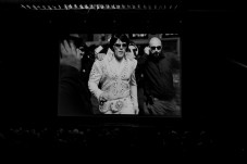 Pacchetti VIP per Elvis, The Musical al Teatro Nuovo