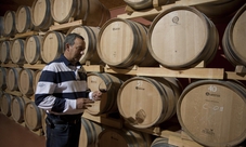 Guided tour of Monzón Castle with wine tasting from Barcelona