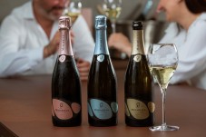 Alla Cieca | Blind Tasting