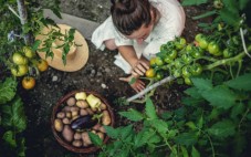 Soggiorno Gourmet in Agriturismo - I Doni dell'Orto