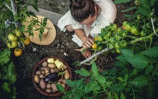 Soggiorno di Lusso con Cooking Class 'I Doni dell'Orto'