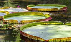 Botanical garden guided tour