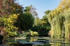 Visita Giverny con audioguida, pranzo e trasferimenti inclusi