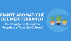 Voucher Corso Regalo Piante Aromatiche del Mediterraneo: Caratteristiche Botaniche, Proprietà e Tecniche Colturali