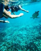 Snorkeling sulla barriera corallina di Isla Mujeres presso l'Albatros Beach Club