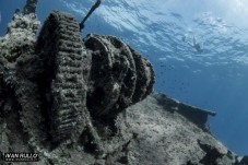 3 Immersioni in Calabria 