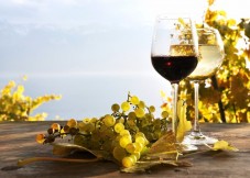 Degustazione Vini e Prodotti Tipici Piemonte