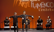Esperienza Flamenco a Cordoba con tour