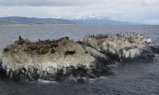 Penguin Island and Historic Estancia Harberton Excursion