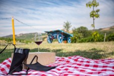 Picnic in vigna e degustazione di vini