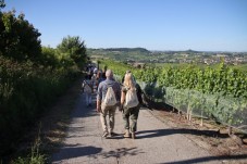 Tour in e-bike della città di Asti