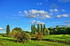 Soggiorno in Agriturismo - Mezza Pensione