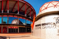 Pack SLB - Estádio & Museu + Cachecol + Prova de Vinhos p/2