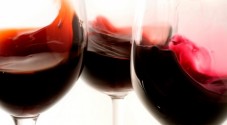 Degustazione Vini in Valpolicella con Pernottamento e Colazione