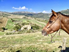 Escursione a cavallo 2 ore in Sicilia 