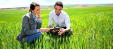 Soggiorno in Vigna con tour con agronomo