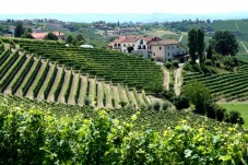 Degustazione Birrificio e Soggiorno in Veneto