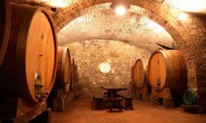 Cellar tour with lunch pairing on the hills of Chianti Rufina