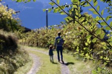 Pomeriggio In Famiglia All'Azienda Agricola