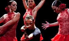 Biglietti per show Flamenco di Carmen Mota