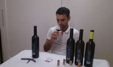 Guided tour to Alquézar from Barcelona with wine tasting