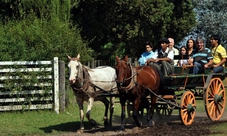Gaucho Party at Don Silvano Ranch