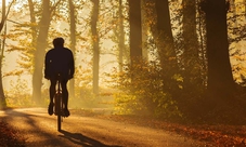 Tour in bicicletta nel Chianti da Siena con pranzo leggero e degustazione di vini