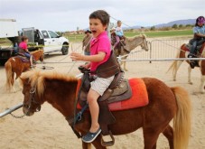 Noleggio Pony per Bambini - 2 ore con Soggiorno