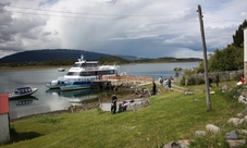 Penguin Island and Historic Estancia Harberton Excursion