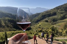 Degustazione di vino nell'eccellenza del Trentino