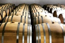 Degustazione Rinforzata di vino a Desenzano del Garda